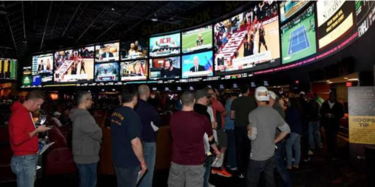 How Can I Win Every Day in Sports Betting?