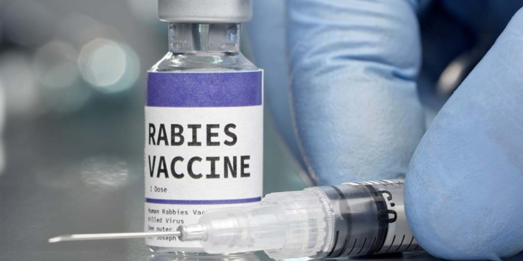 Gavi will increase over 50 nations’ access to human rabies vaccines, which can save lives