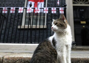 As UK Election Draws Near, Larry the Cat Waits for Sixth Prime Minister