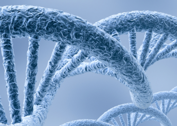 The “gene deserts,” which are revealing the secrets of illness