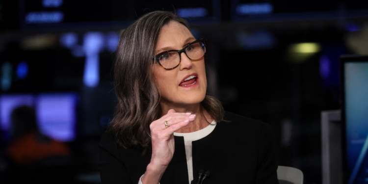 Cathie Wood’s ARK Innovation is boosted by the Tesla Stock Rebound, but there are still issues