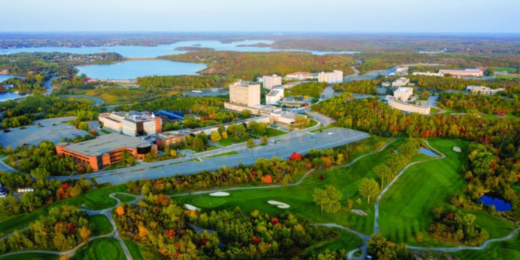 Promoting international mineral exploration and geoscience research