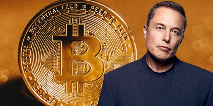 Crypto is not included in Elon Musk’s most recent plan to integrate Venmo-like payment processing to X