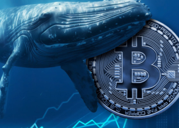 Bitcoin whales amass bitcoins valued at $1 billion