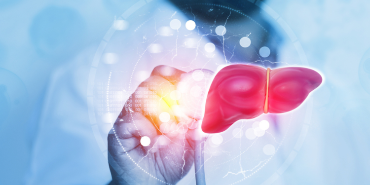 Ultrasound imaging is essential for fatty liver disease early identification