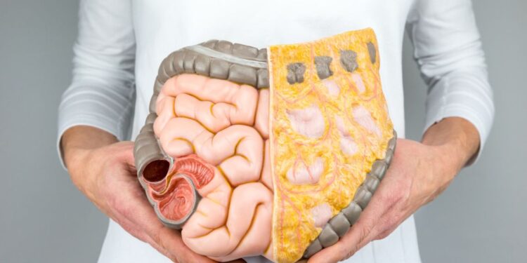 Lilly expands its line of bowel illness drugs with a $3.2 billion acquisition of Morphic