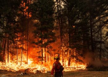 $4 Billion Settlement Proposed for Maui Wildfire Victims