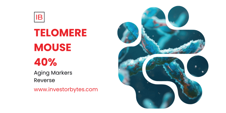 Telomere Mouse 40%