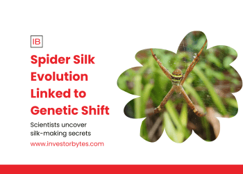 Ancient Genetic Oops Linked to Spider Silk Organs