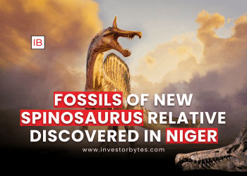 Fossils of New Spinosaurus Relative Discovered in Niger
