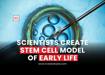 Scientists Create Stem Cell Model of Early Life