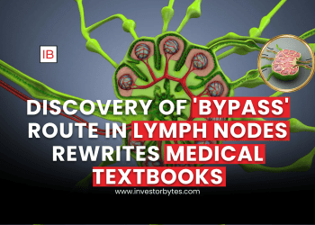 Discovery of New Lymph Node Architecture Reported