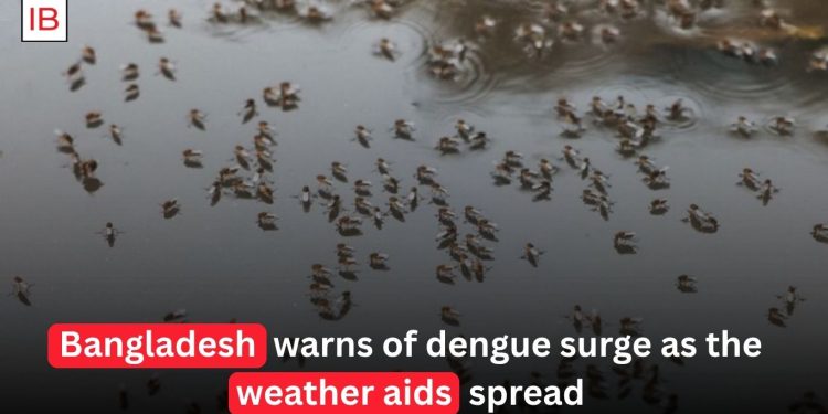 Bangladesh Warns of Major Dengue Surge as Weather Conditions Fuel Mosquito Spread