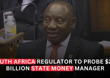 South African Regulator Investigates Public Investment Corporation Over Governance Concerns