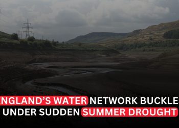 England’s Water Network Buckles Under Sudden Summer Drought